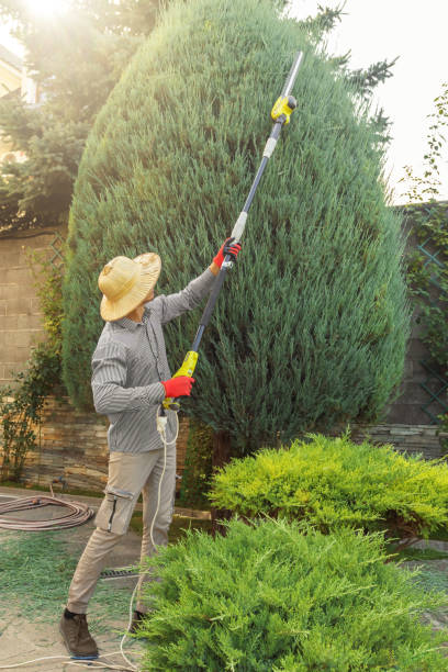 Best Fruit Tree Pruning  in Parkland, FL